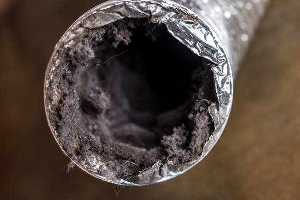 Best Residential Air Duct Cleaning  in Gifford, FL